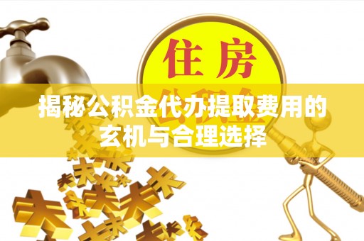 洋山揭秘公积金代办提取费用的玄机与合理选择