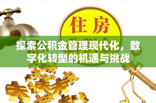 洋山探索公积金管理现代化，数字化转型的机遇与挑战