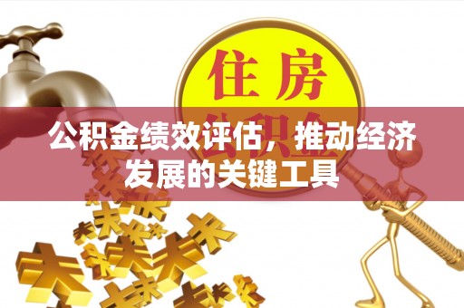 洋山公积金绩效评估，推动经济发展的关键工具