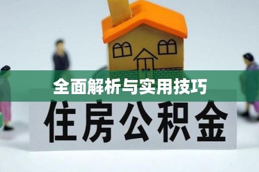 洋山全面解析与实用技巧