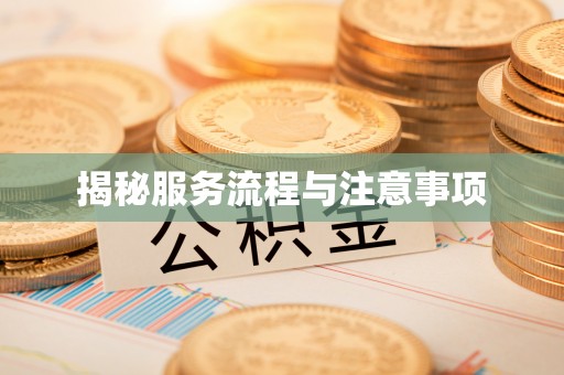 洋山揭秘服务流程与注意事项