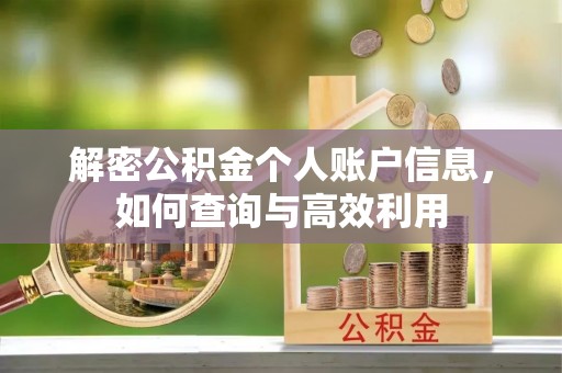 洋山解密公积金个人账户信息，如何查询与高效利用