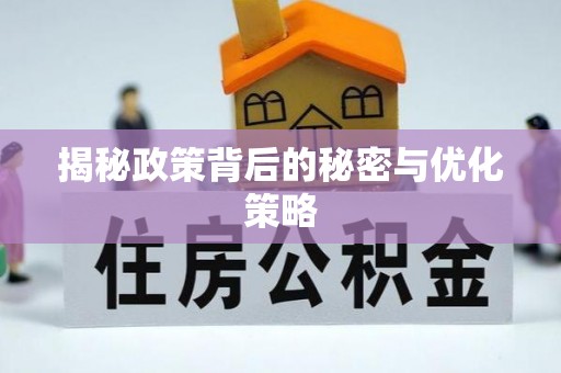 洋山揭秘政策背后的秘密与优化策略