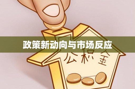 洋山政策新动向与市场反应