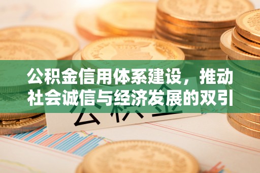 洋山公积金信用体系建设，推动社会诚信与经济发展的双引擎