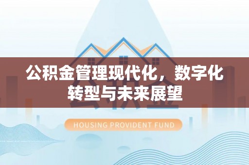 洋山公积金管理现代化，数字化转型与未来展望