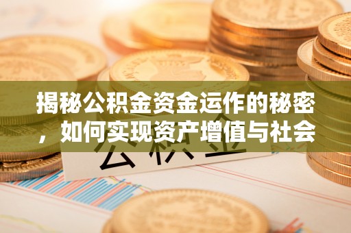 洋山揭秘公积金资金运作的秘密，如何实现资产增值与社会福利双赢？