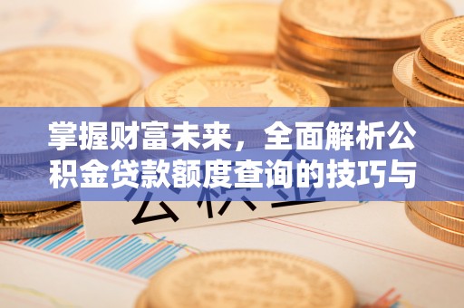 洋山掌握财富未来，全面解析公积金贷款额度查询的技巧与策略