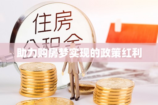 洋山助力购房梦实现的政策红利