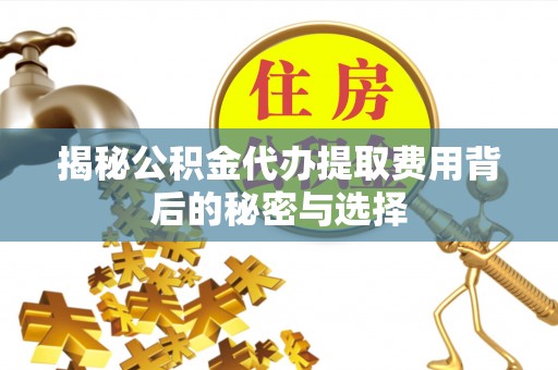 洋山揭秘公积金代办提取费用背后的秘密与选择