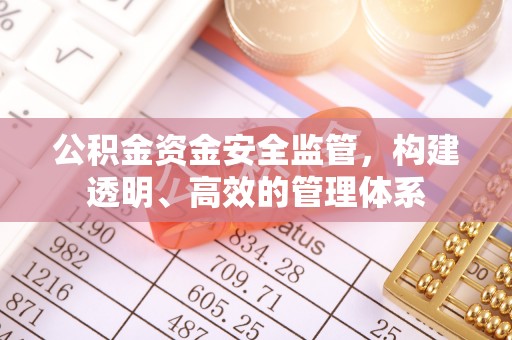 洋山公积金资金安全监管，构建透明、高效的管理体系