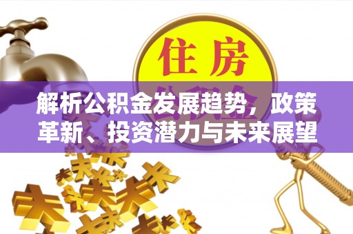 洋山解析公积金发展趋势，政策革新、投资潜力与未来展望