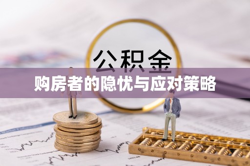 洋山购房者的隐忧与应对策略