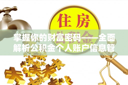 洋山掌握你的财富密码——全面解析公积金个人账户信息管理与优化