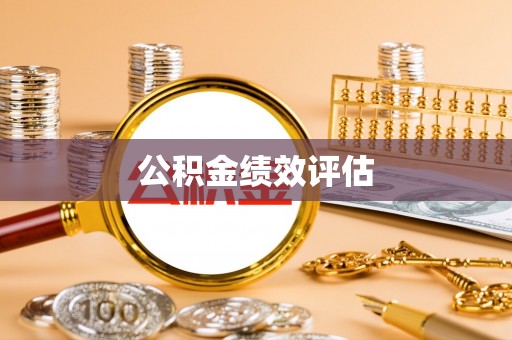 洋山公积金绩效评估