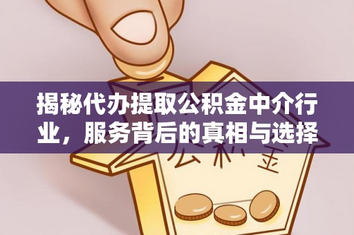 洋山揭秘代办提取公积金中介行业，服务背后的真相与选择指南