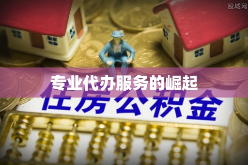 洋山专业代办服务的崛起