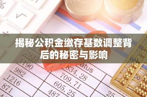 洋山揭秘公积金缴存基数调整背后的秘密与影响