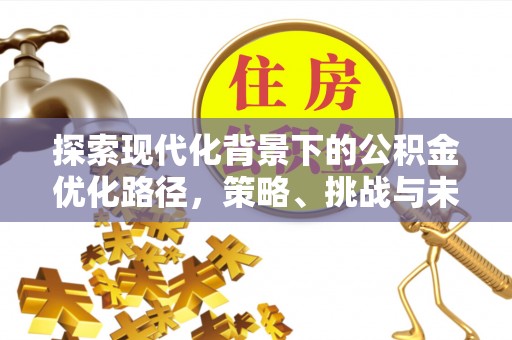 洋山探索现代化背景下的公积金优化路径，策略、挑战与未来展望