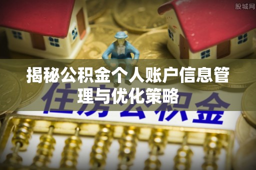 洋山揭秘公积金个人账户信息管理与优化策略