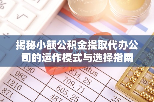 洋山揭秘小额公积金提取代办公司的运作模式与选择指南
