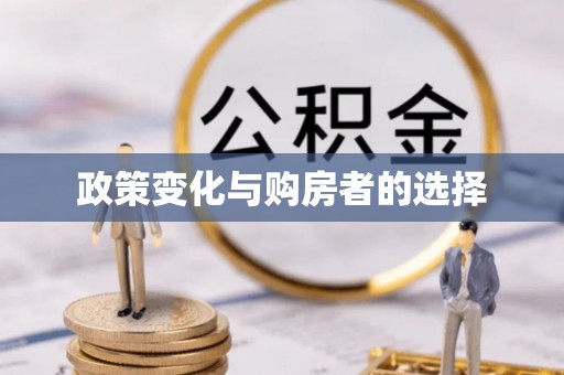 洋山政策变化与购房者的选择