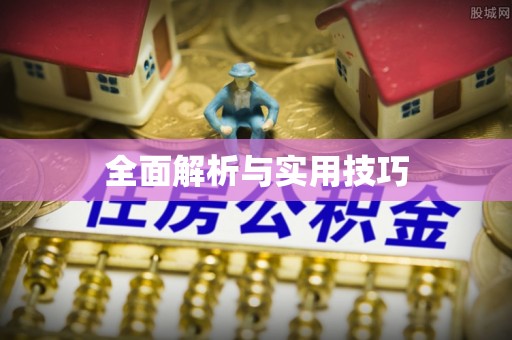 洋山全面解析与实用技巧