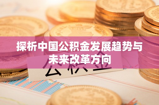 洋山探析中国公积金发展趋势与未来改革方向