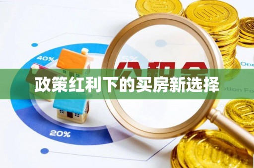 洋山政策红利下的买房新选择