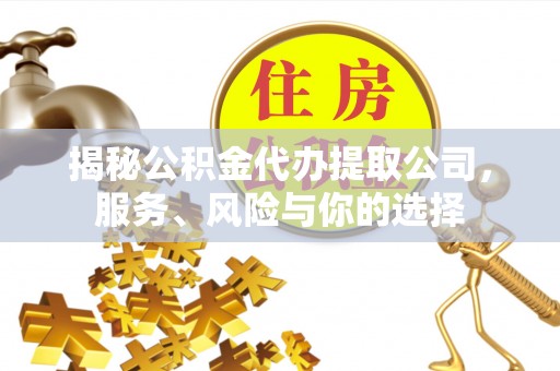 洋山揭秘公积金代办提取公司，服务、风险与你的选择