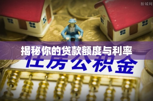 洋山揭秘你的贷款额度与利率