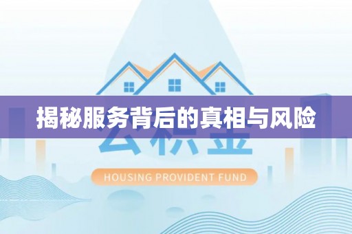 洋山揭秘服务背后的真相与风险
