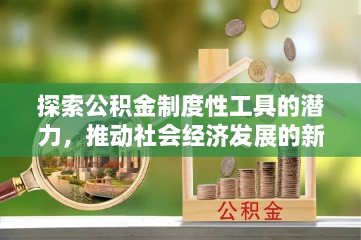 洋山探索公积金制度性工具的潜力，推动社会经济发展的新引擎