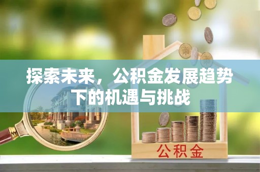 洋山探索未来，公积金发展趋势下的机遇与挑战