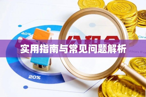 洋山实用指南与常见问题解析