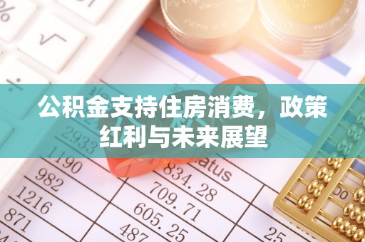 洋山公积金支持住房消费，政策红利与未来展望