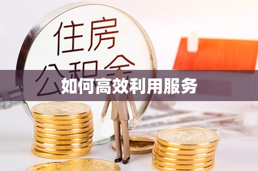 洋山如何高效利用服务