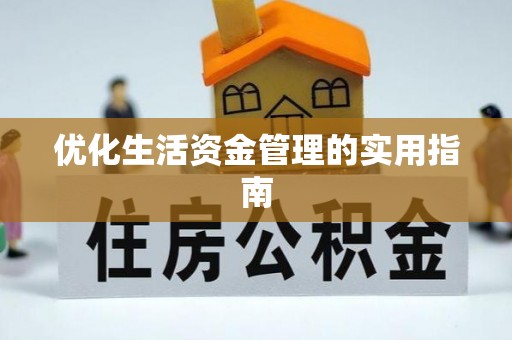 洋山优化生活资金管理的实用指南