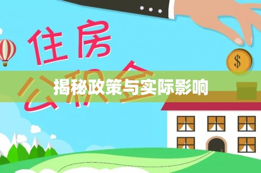 洋山揭秘政策与实际影响