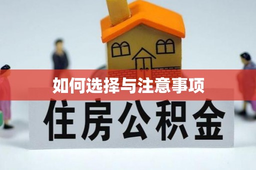 洋山如何选择与注意事项