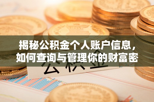 洋山揭秘公积金个人账户信息，如何查询与管理你的财富密码