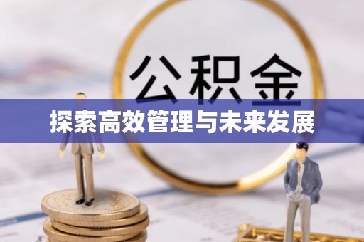洋山探索高效管理与未来发展