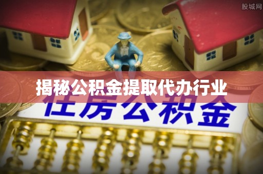 洋山揭秘公积金提取代办行业