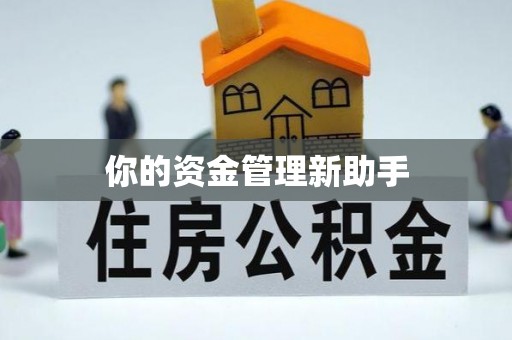 洋山你的资金管理新助手