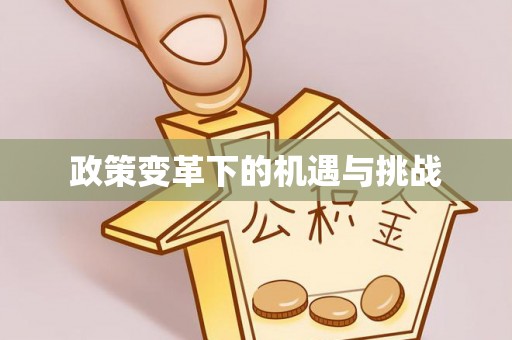 洋山政策变革下的机遇与挑战
