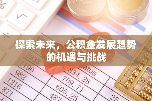 洋山探索未来，公积金发展趋势的机遇与挑战