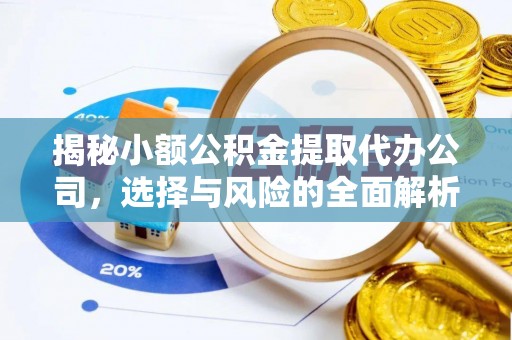 洋山揭秘小额公积金提取代办公司，选择与风险的全面解析