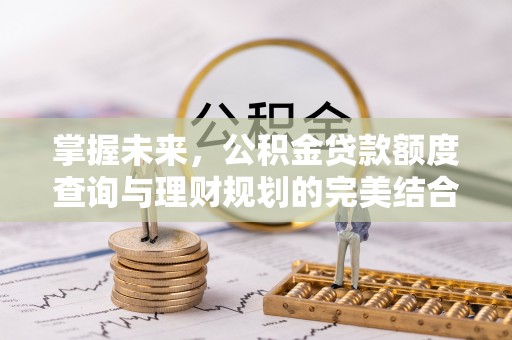 洋山掌握未来，公积金贷款额度查询与理财规划的完美结合
