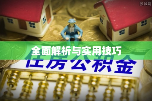 洋山全面解析与实用技巧