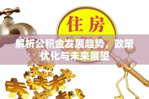 洋山解析公积金发展趋势，政策优化与未来展望